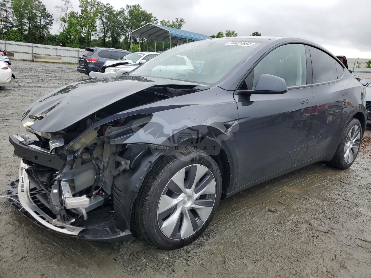 Tesla Model Y 2024