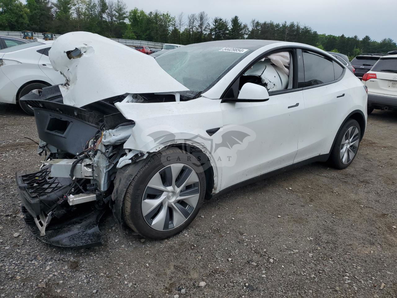 Tesla Model Y 2020