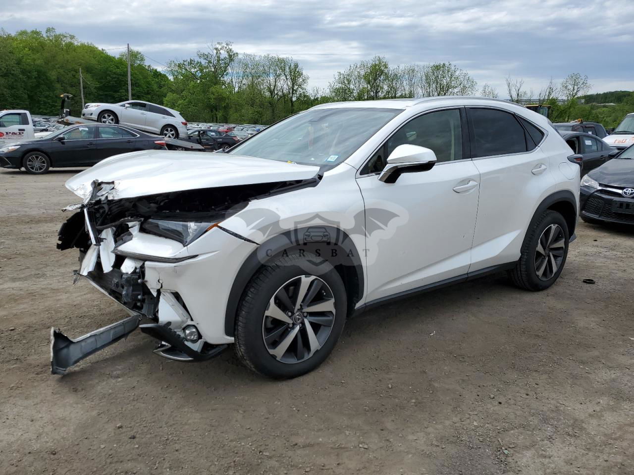 Lexus NX 2020