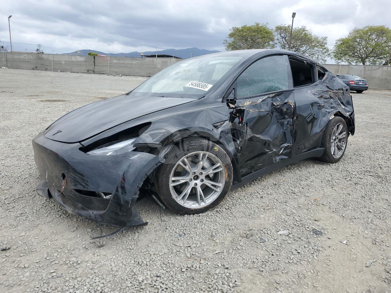 Tesla Model Y 2024