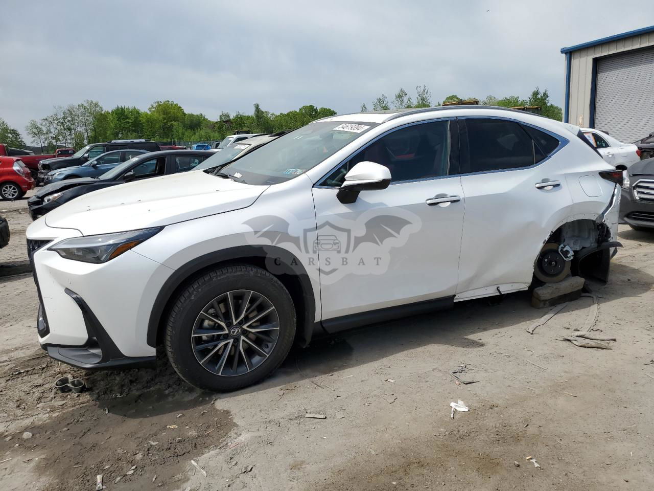 Lexus NX 2024