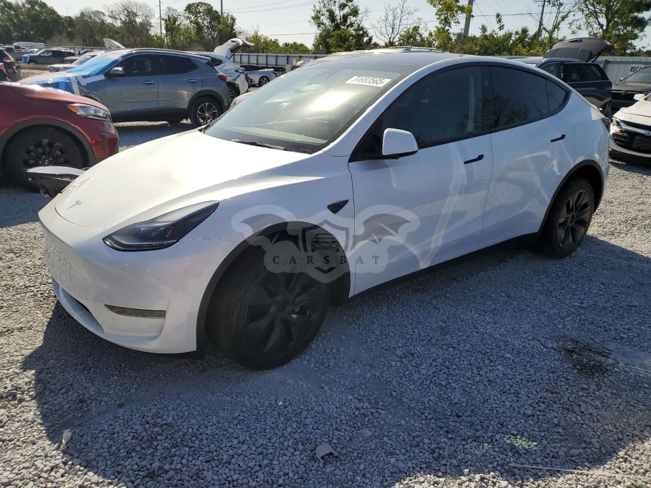 Tesla Model Y 2024