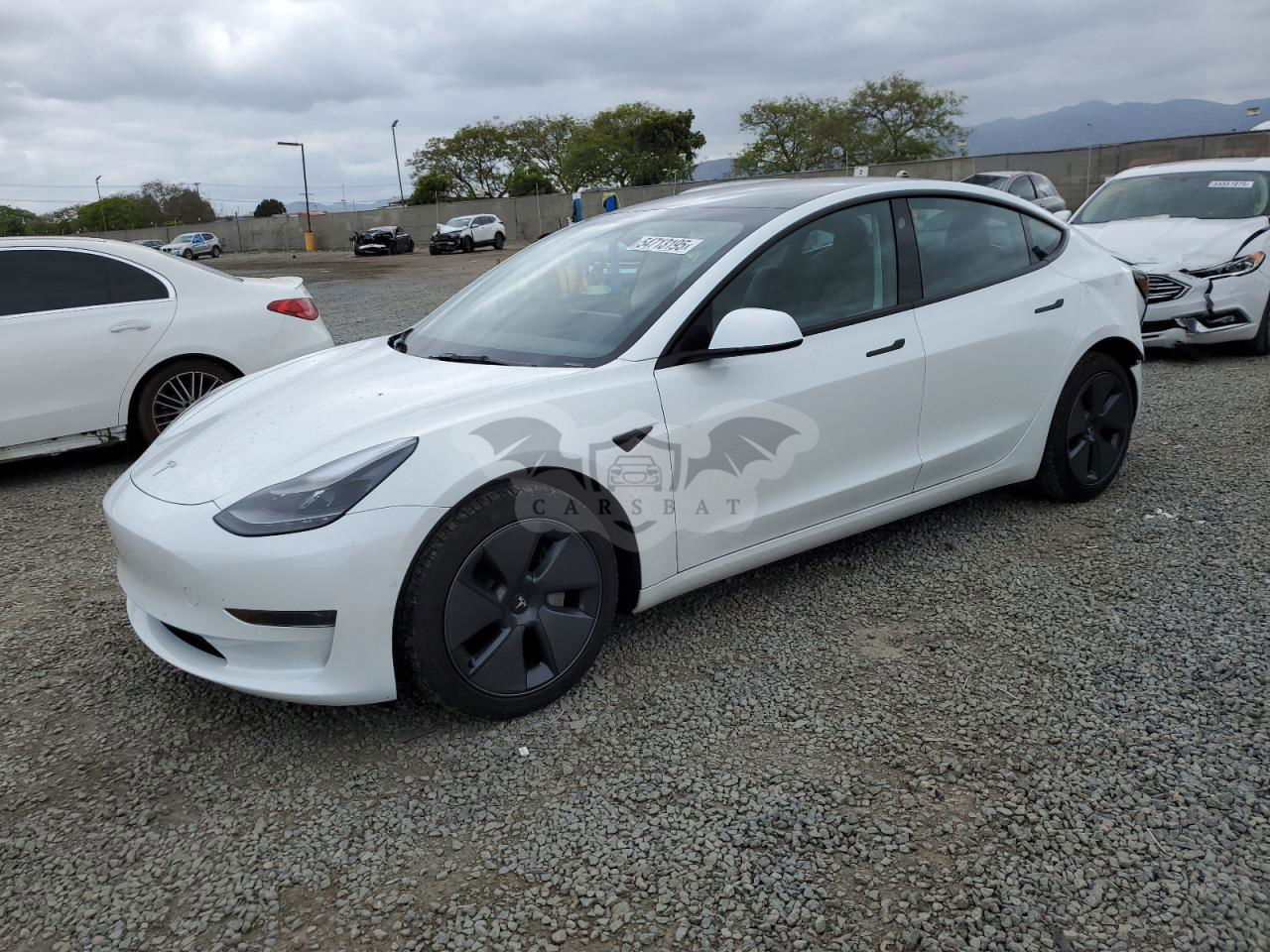 Tesla Model 3 2022