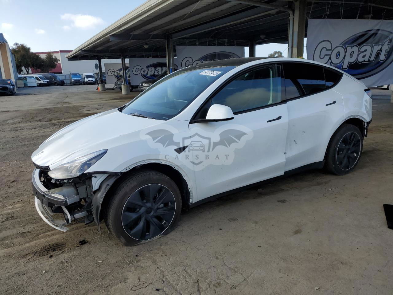 Tesla Model Y 2024