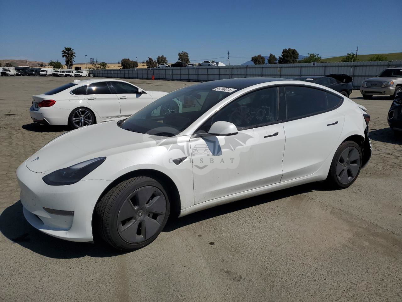 Tesla Model 3 2021