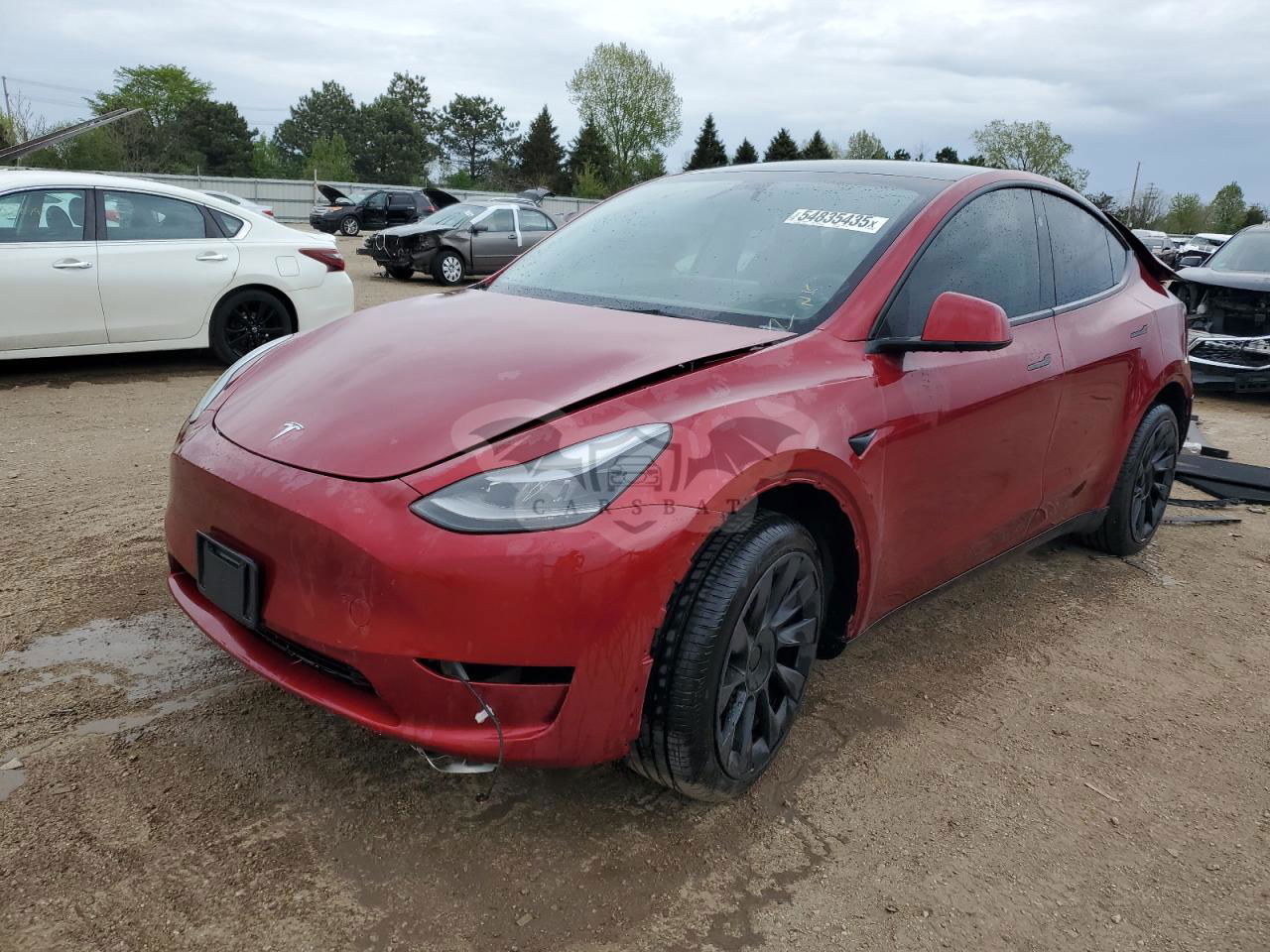 Tesla Model Y 2024