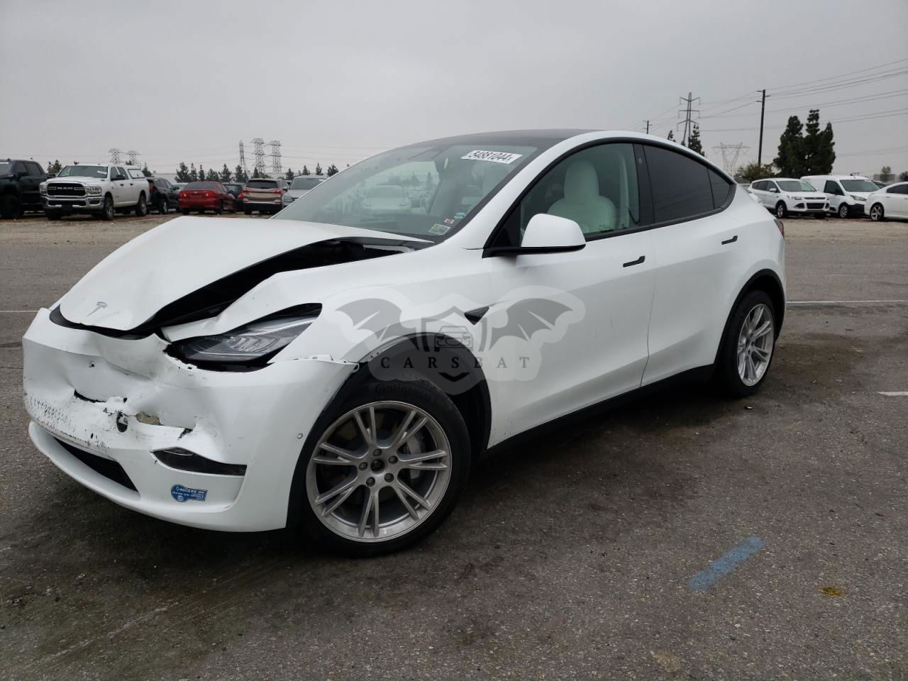 Tesla Model Y 2021