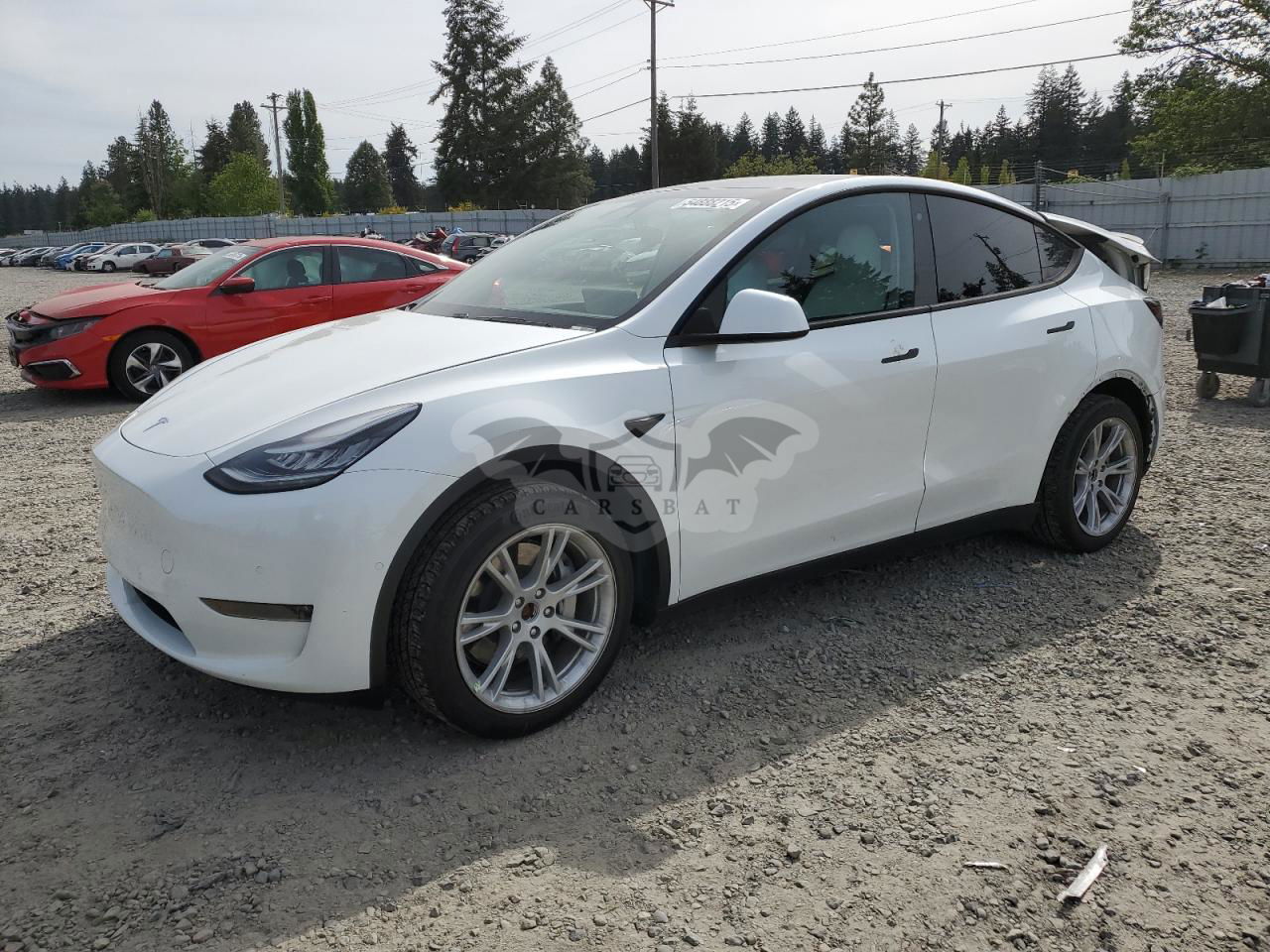 Tesla Model Y 2020