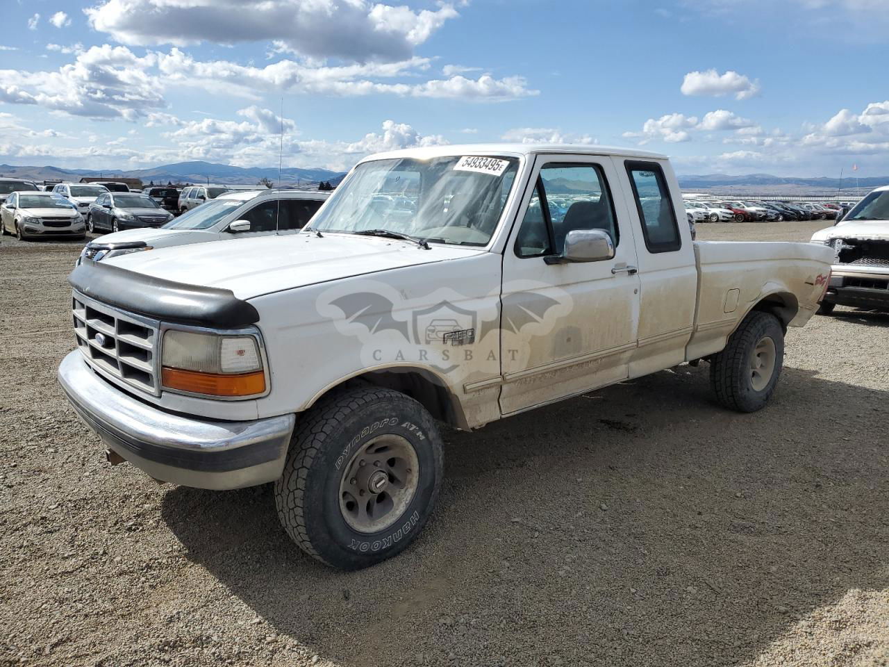 Ford F-150 5.8L  8 1995