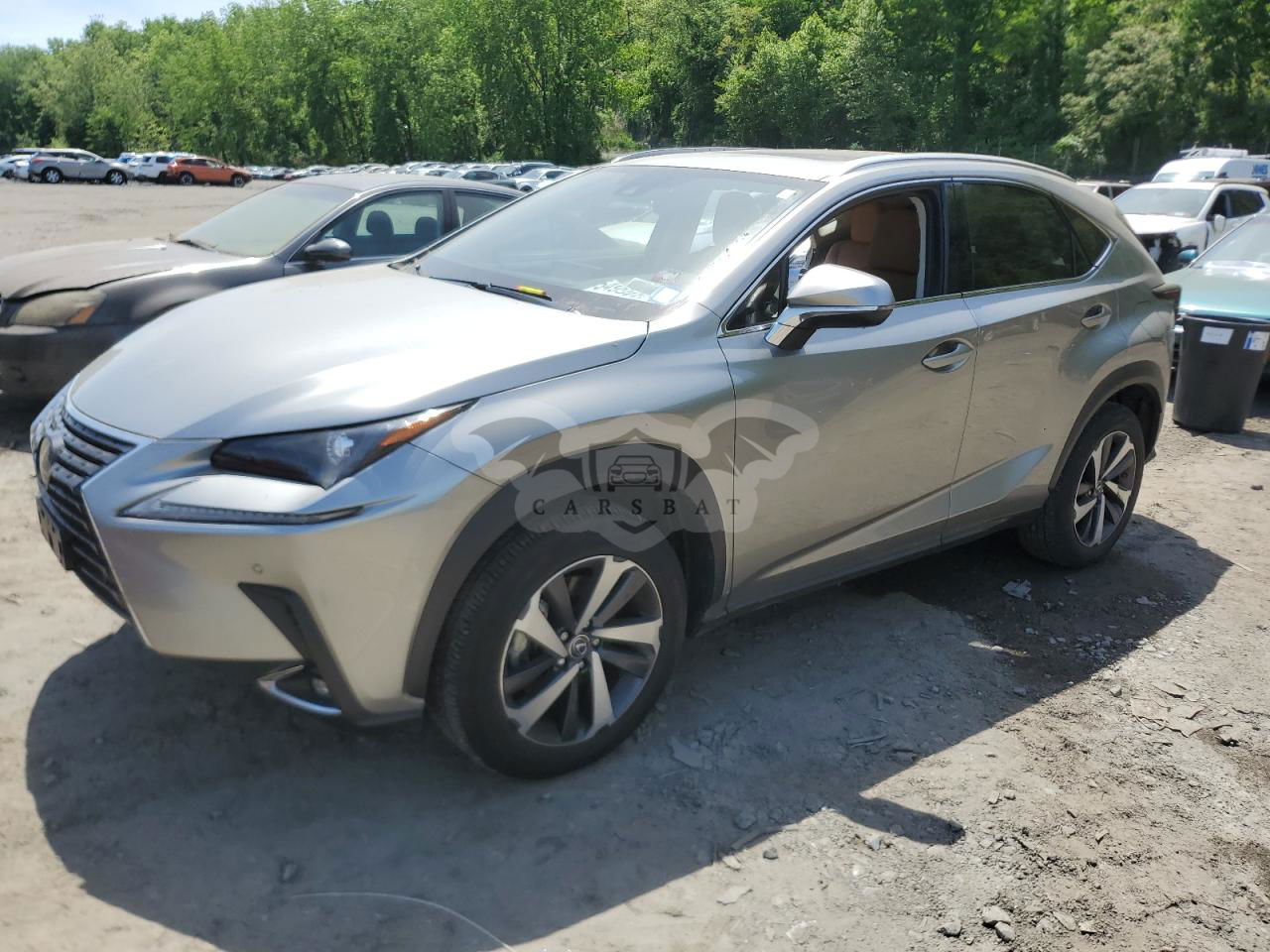 Lexus NX 2020