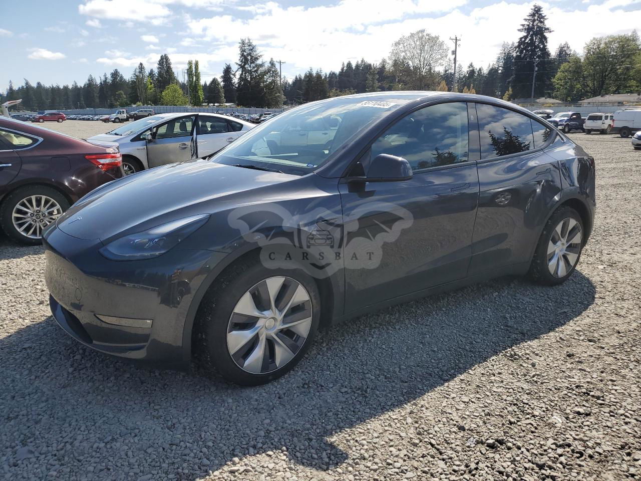 Tesla Model Y 2024