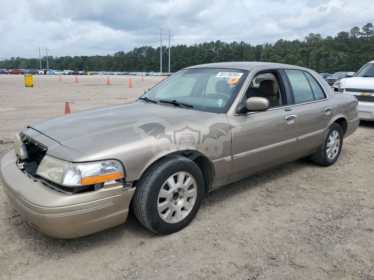 Mercury Grand Marquis LS 4.6L  8 2003
