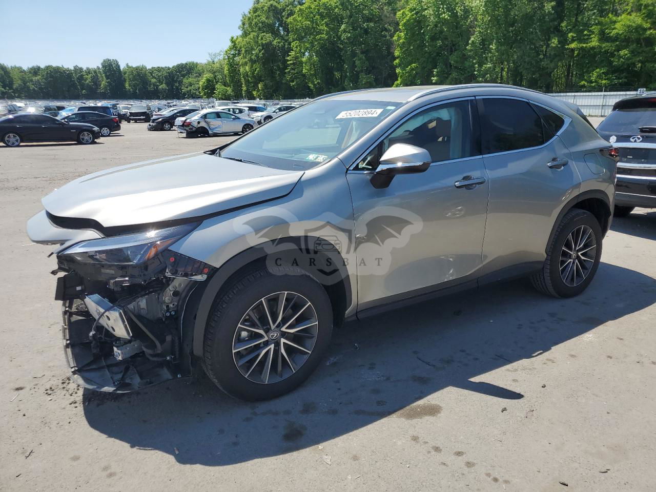 Lexus NX 2024