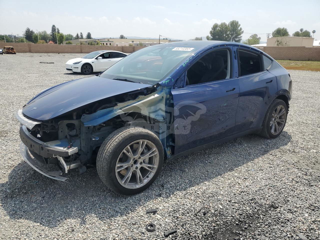 Tesla Model Y 2024