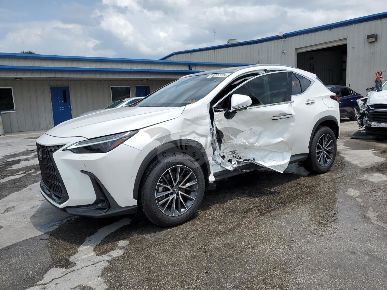 Lexus NX 2024