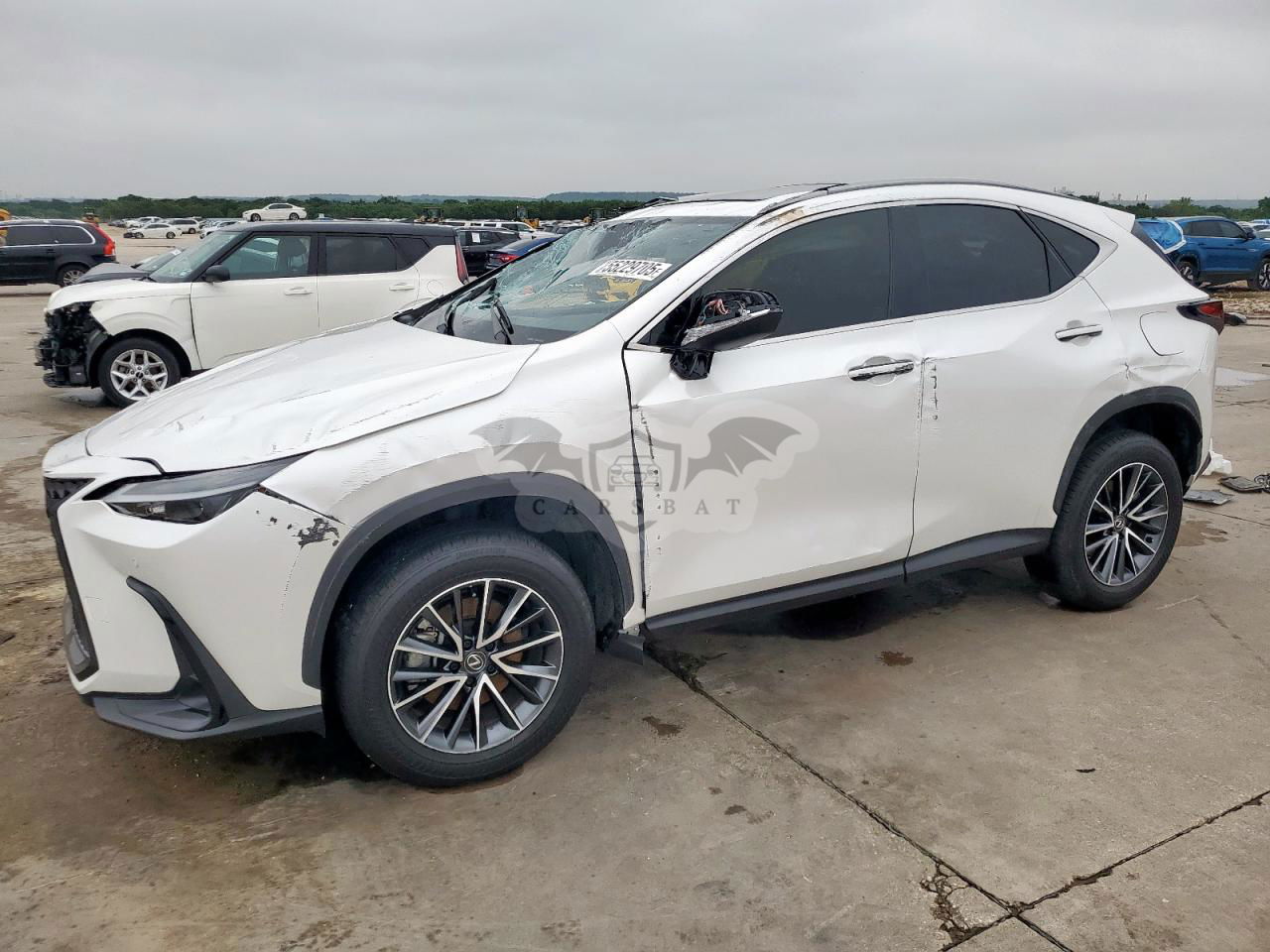 Lexus NX 250 PREMIUM 2.5L  4 2024
