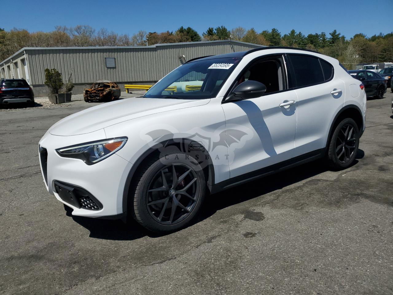 Alfa Romeo Stelvio 2.0L  4 2019