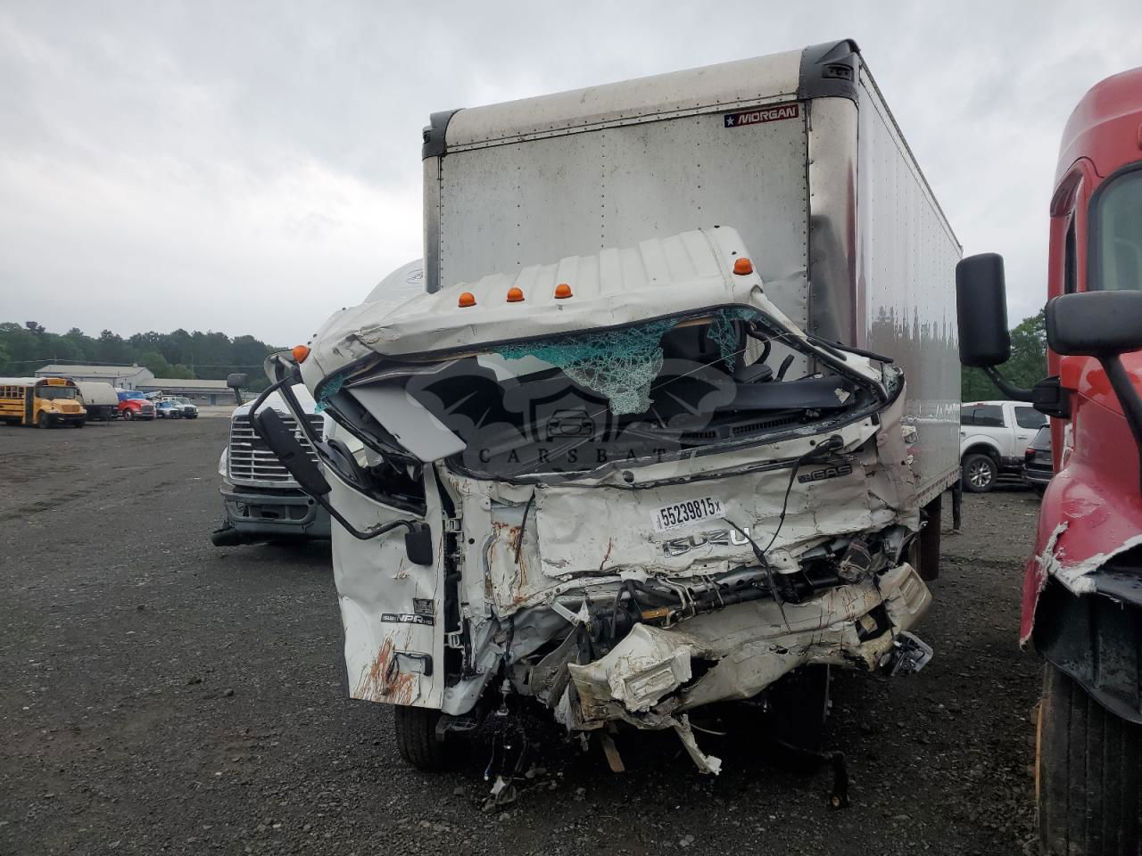 Isuzu NPR 6.6L  8 2024