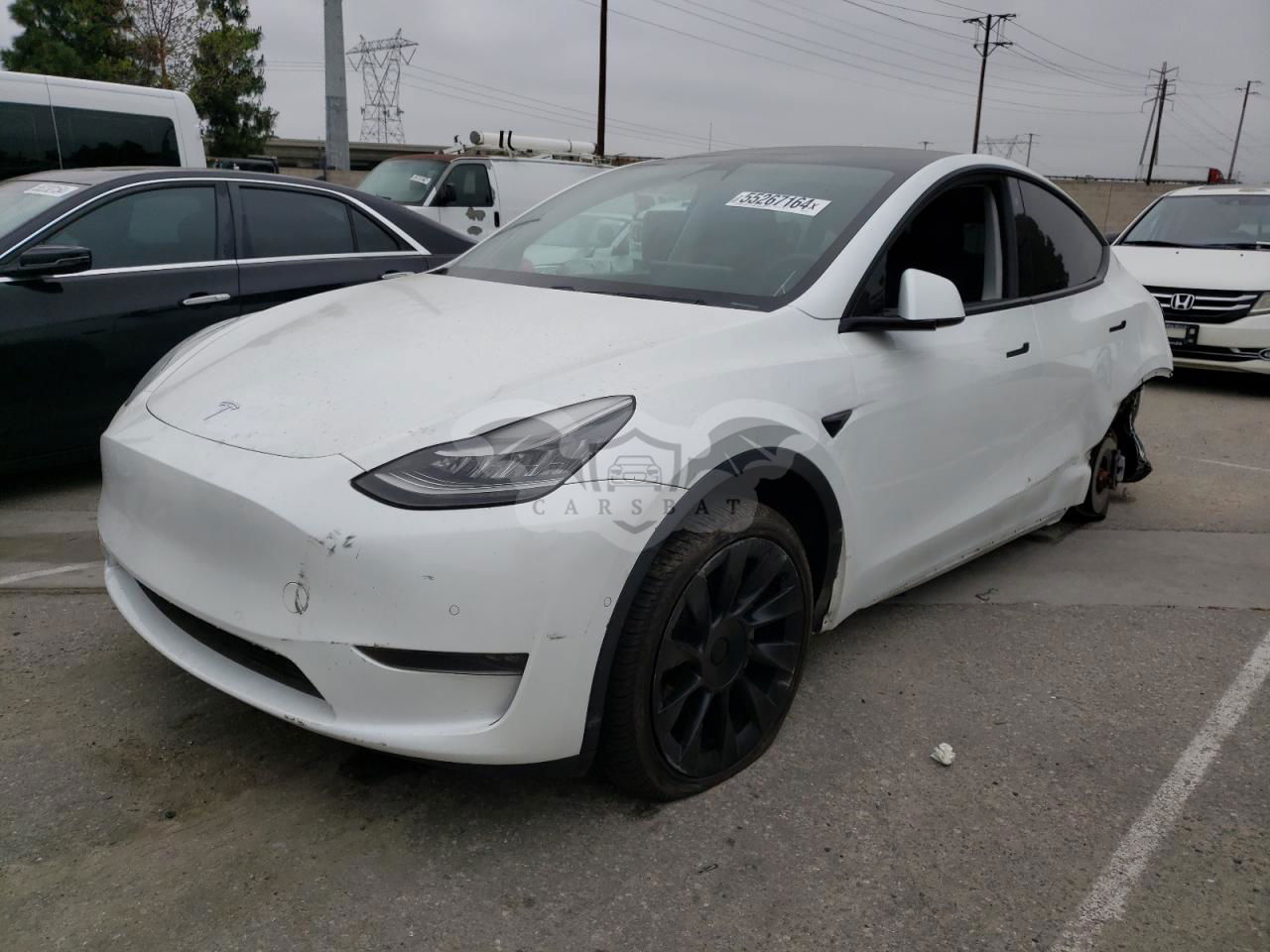 Tesla Model Y 2020