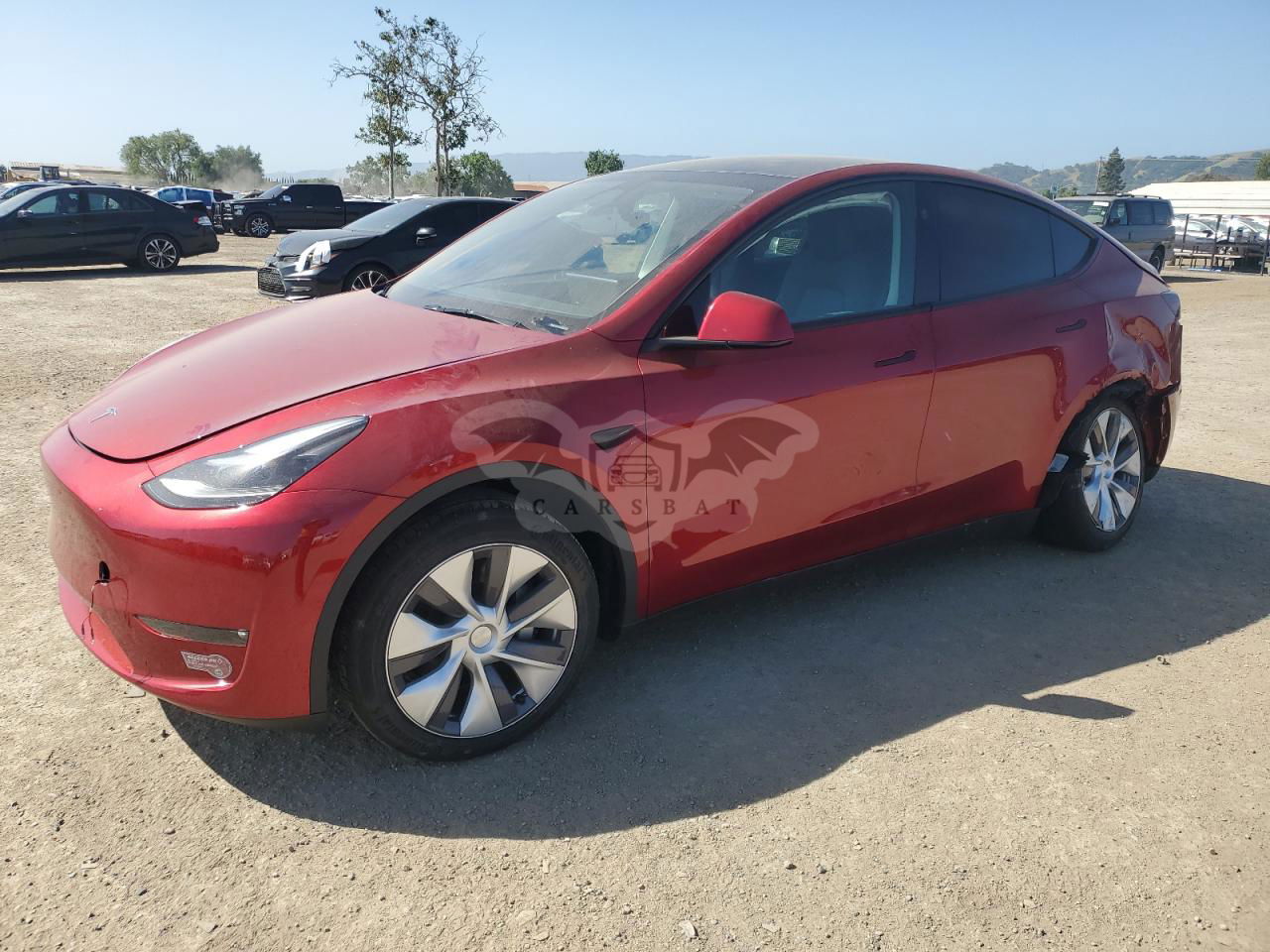 Tesla Model Y 2024