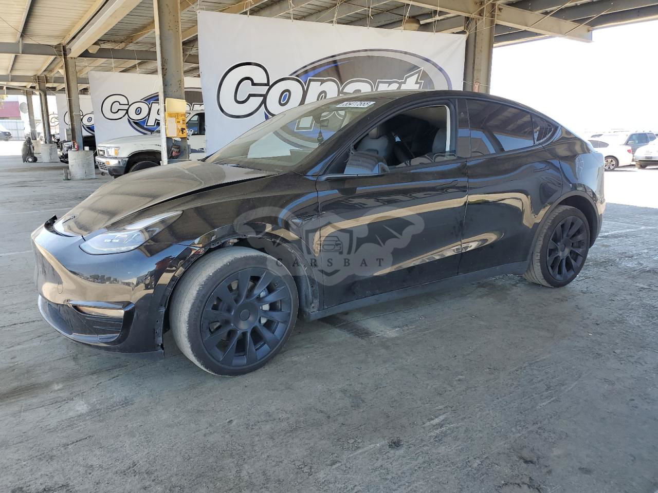 Tesla Model Y 2024