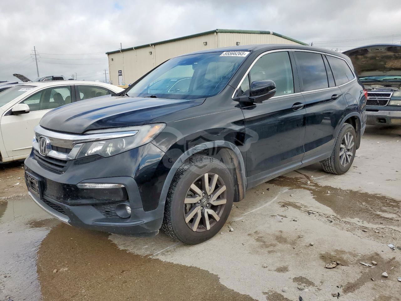 Honda Pilot EXL 3.5L  6 2019
