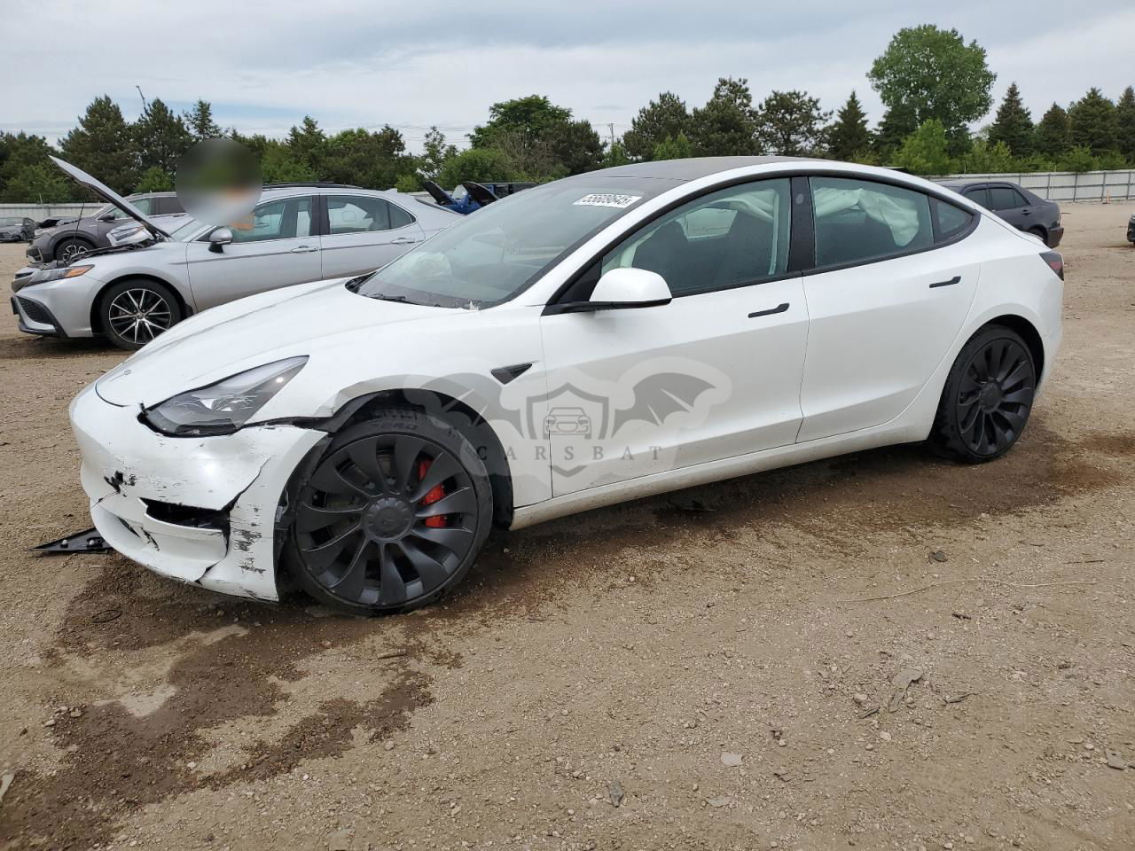 Tesla Model 3 2023