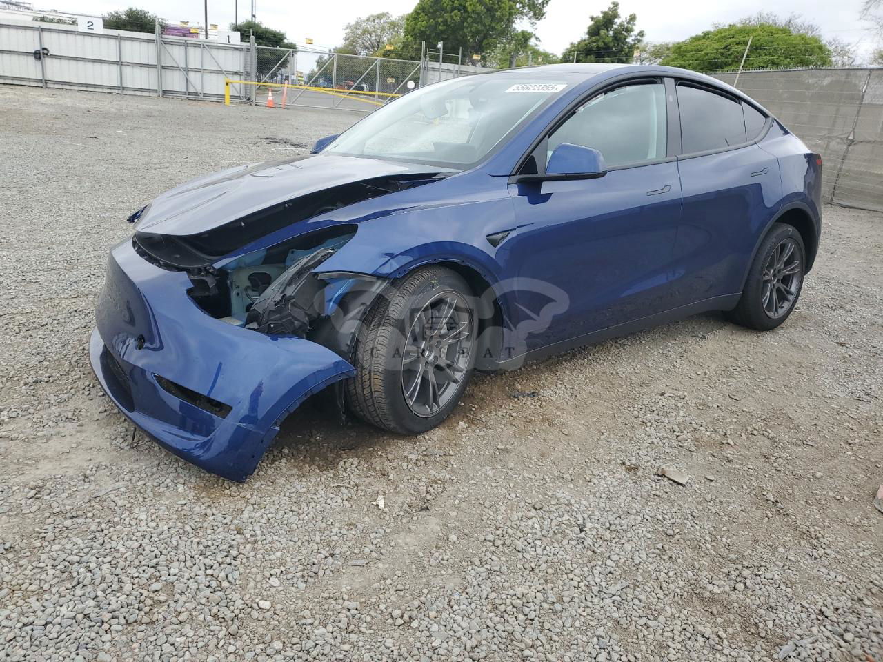 Tesla Model Y 2024