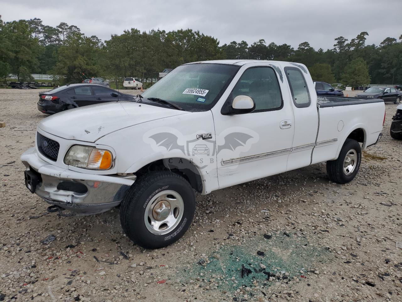 Ford F-150 4.6L  8 1997