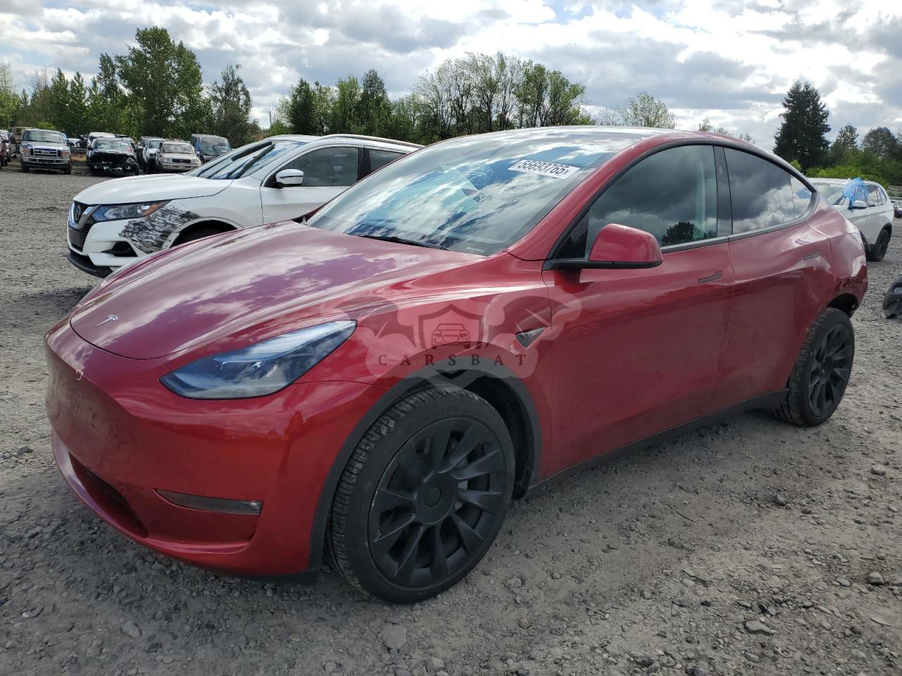 Tesla Model Y 2024