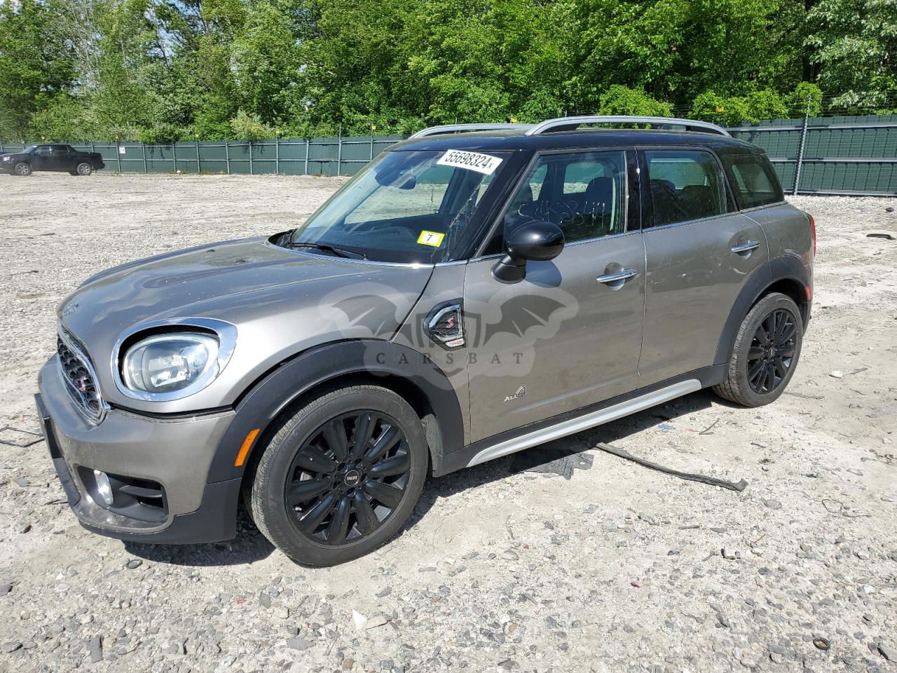Mini Cooper S COUNTRYMAN ALL4 2.0L  4 2019