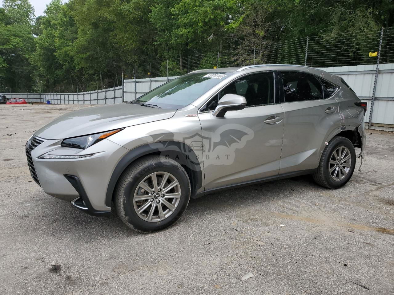 Lexus NX 2020