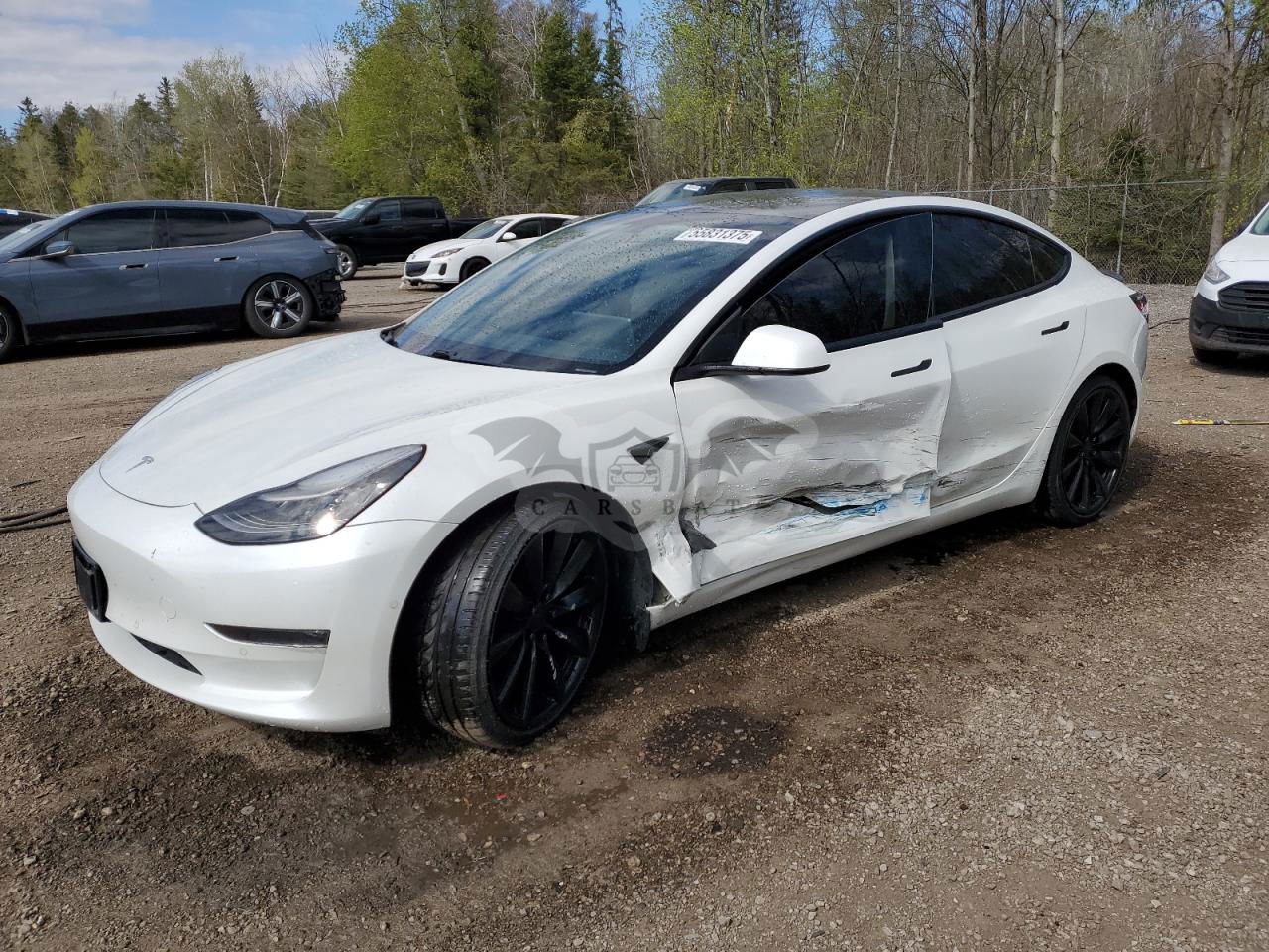 Tesla Model 3 2021