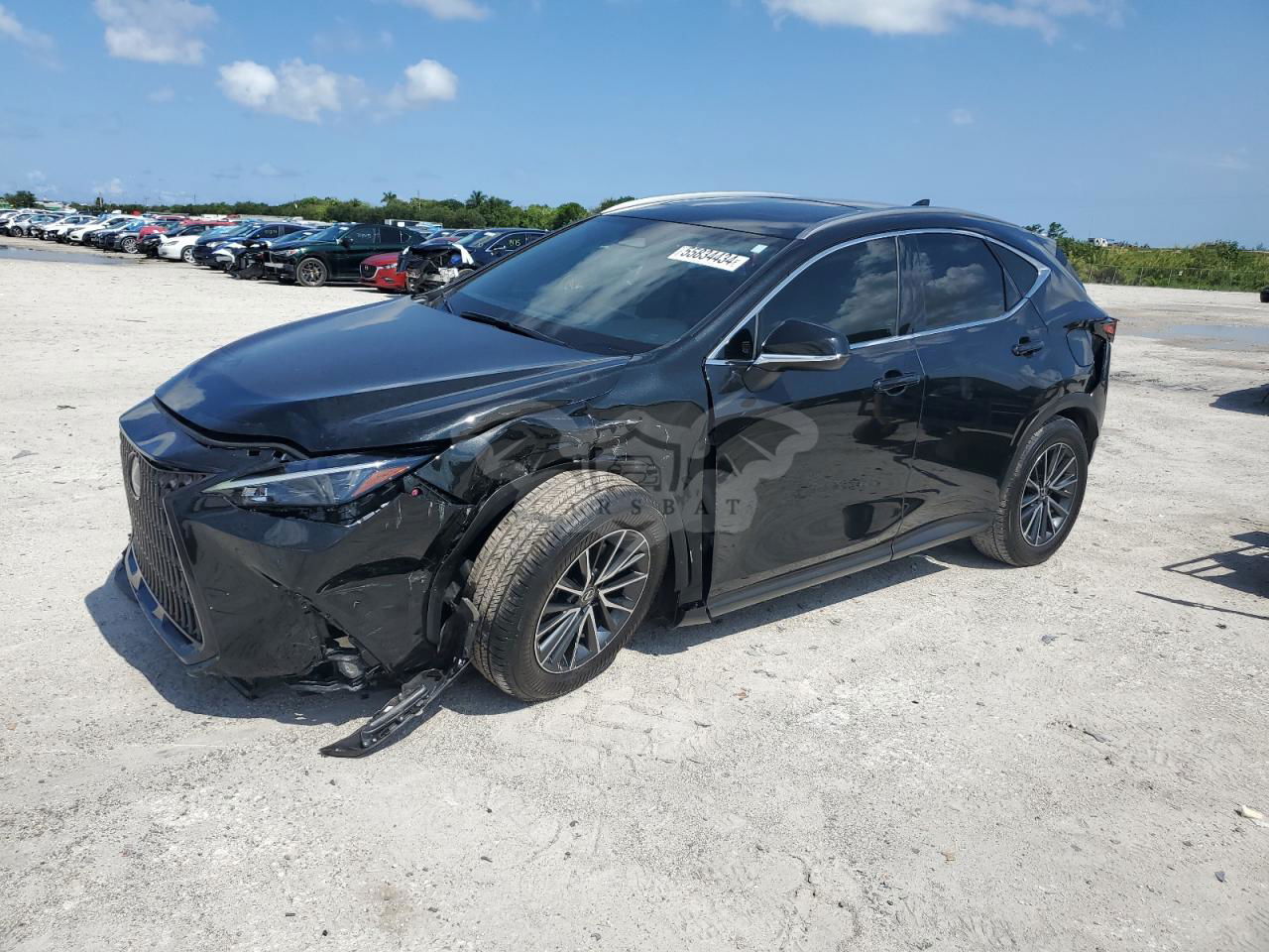Lexus NX 2024