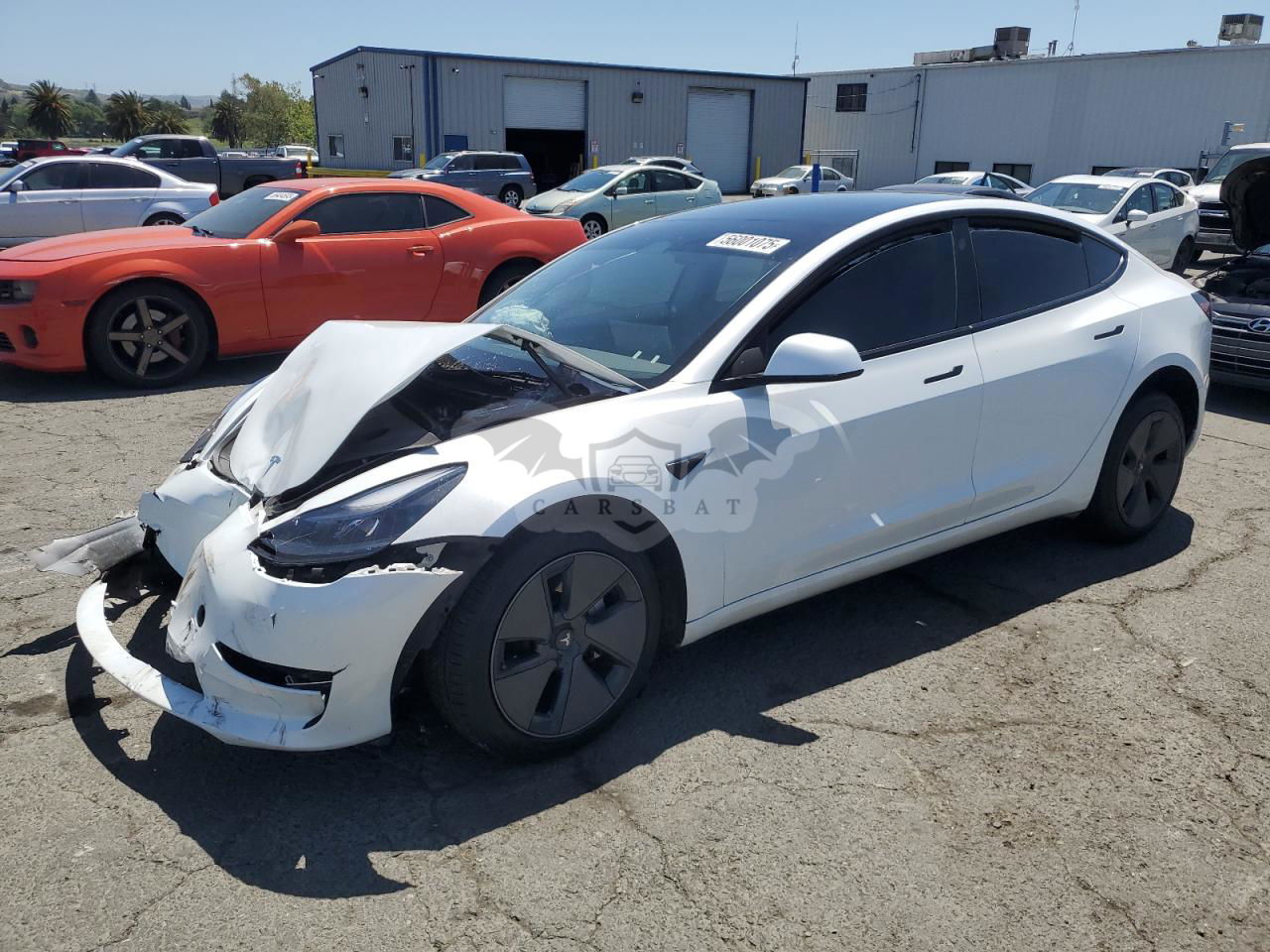Tesla Model 3 2023