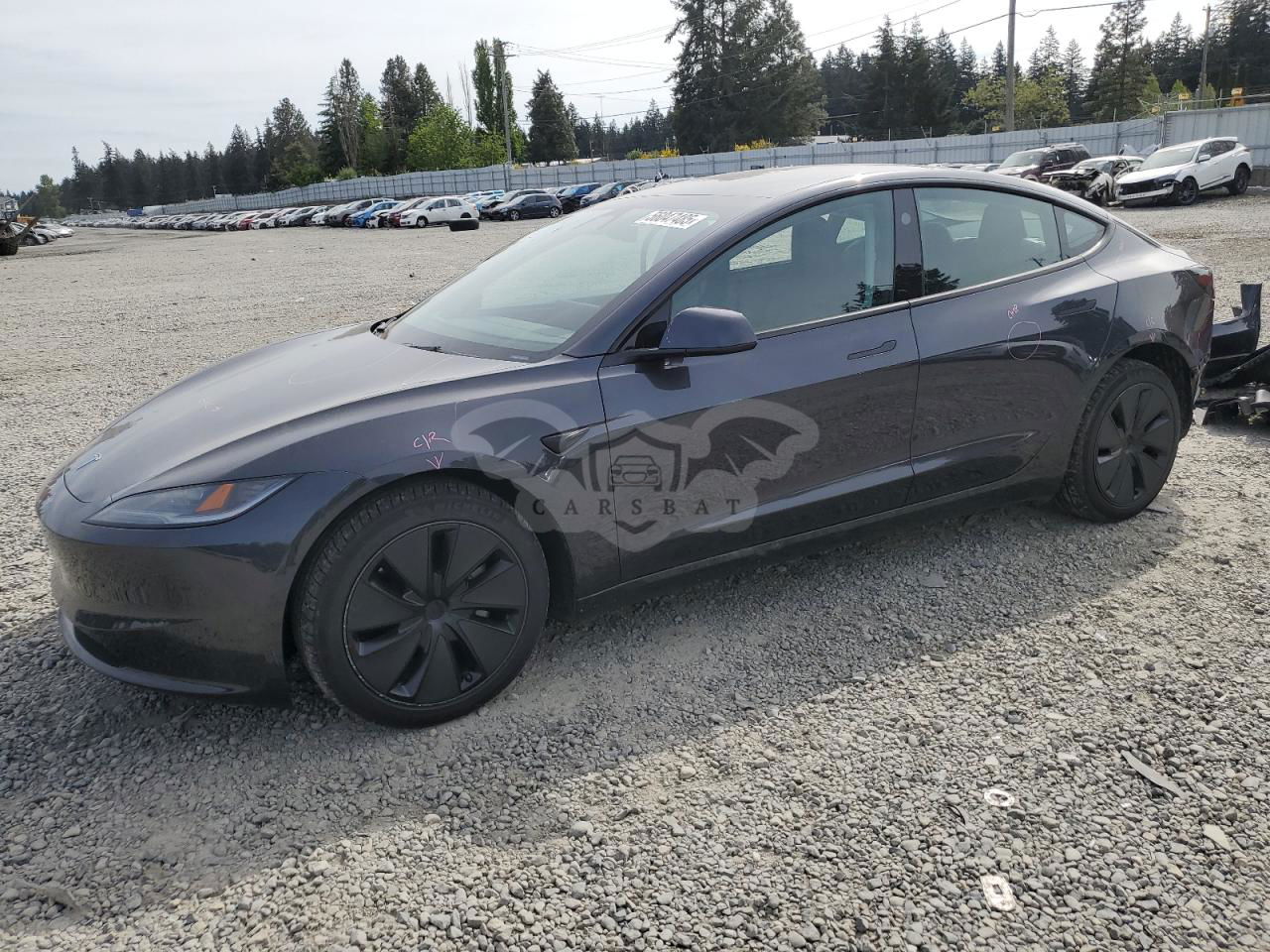 Tesla Model 3 2024