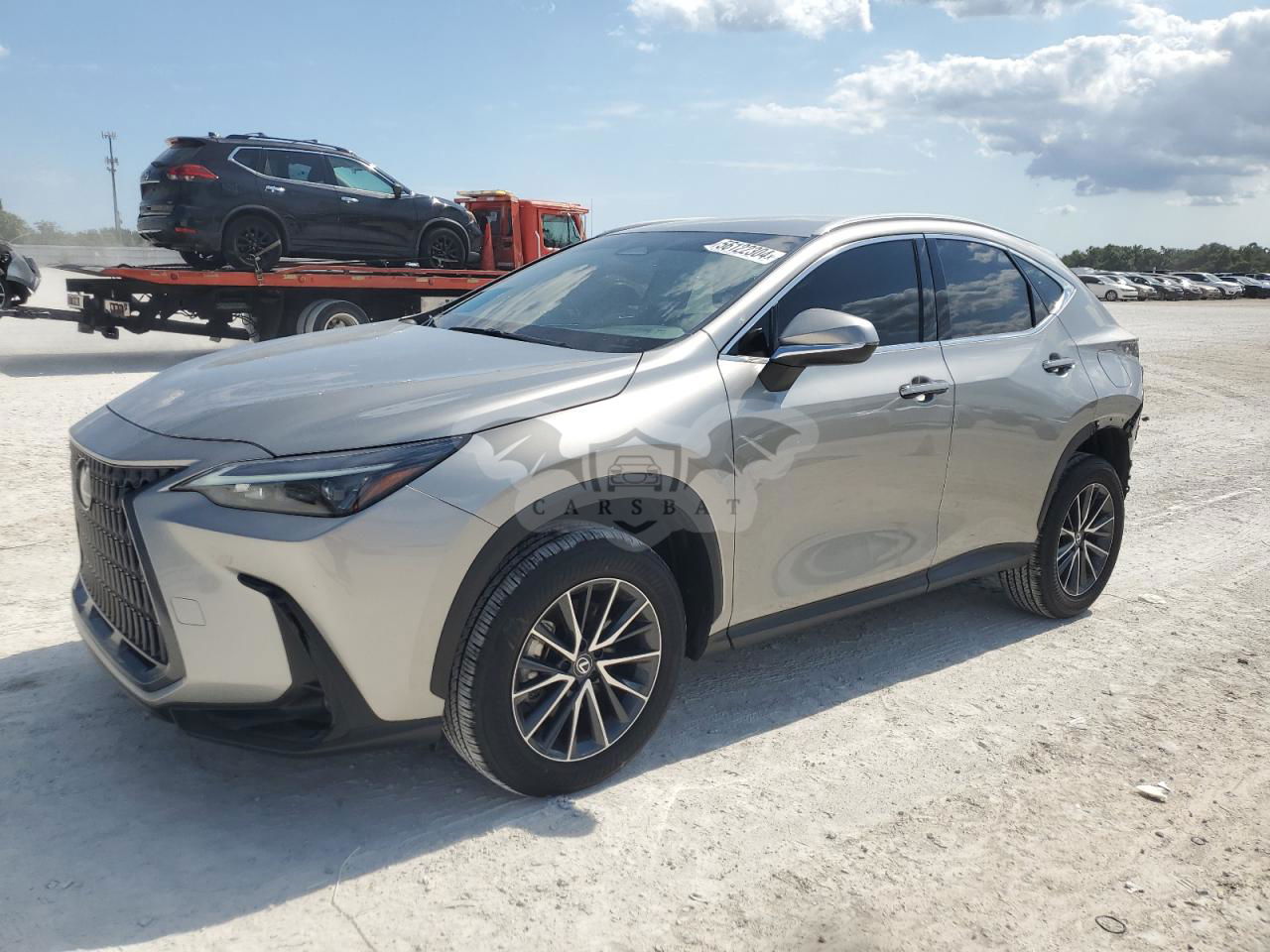 Lexus NX 2024