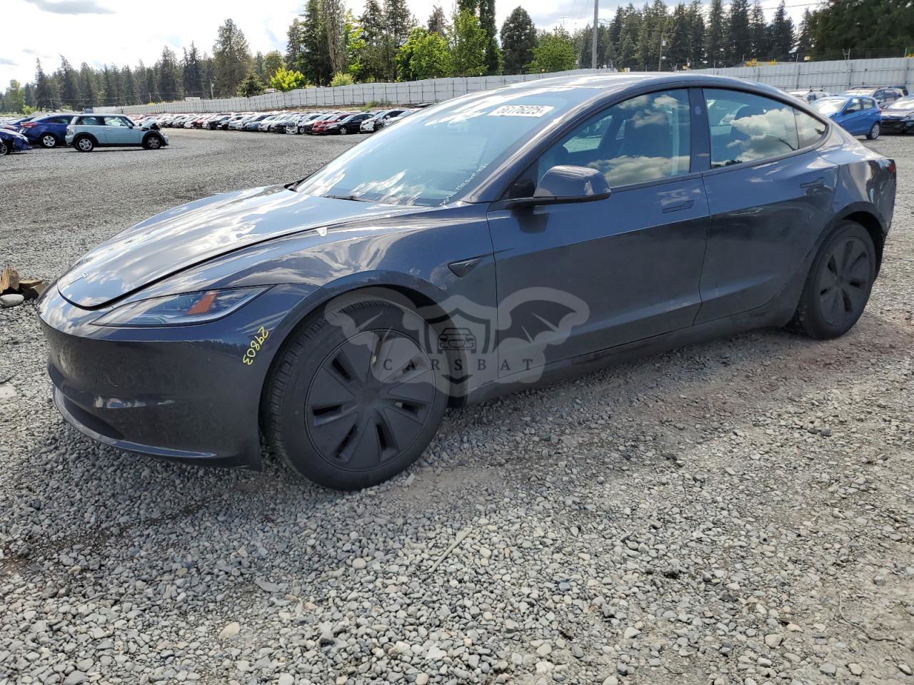Tesla Model 3 2024