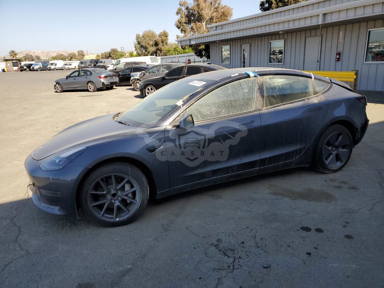Tesla Model 3 2023