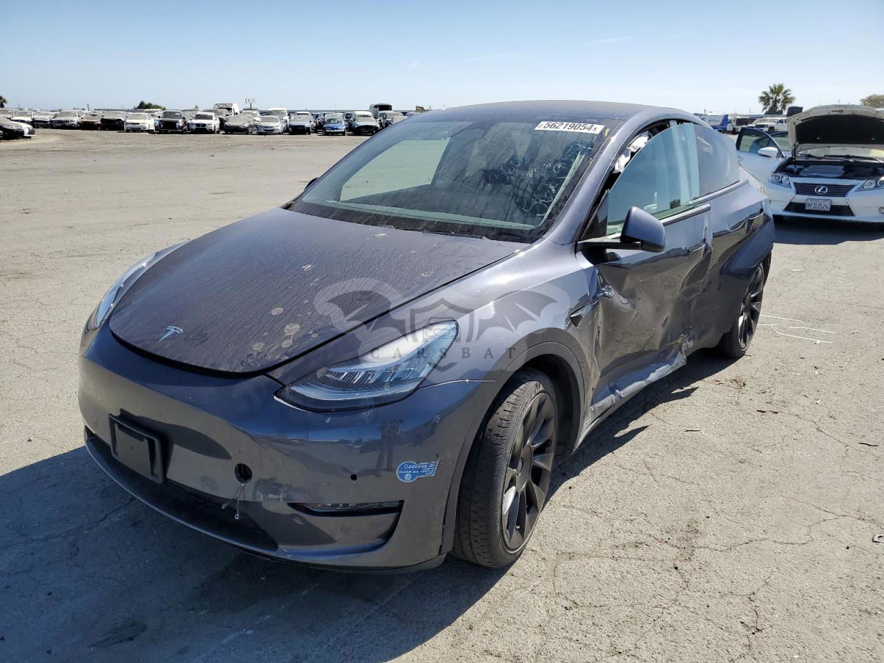 Tesla Model Y 2021