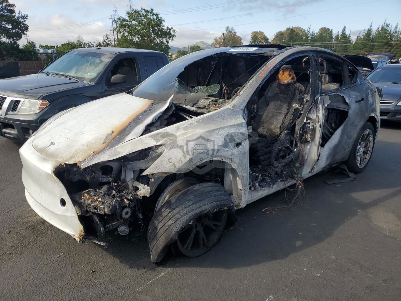Tesla Model Y 2024