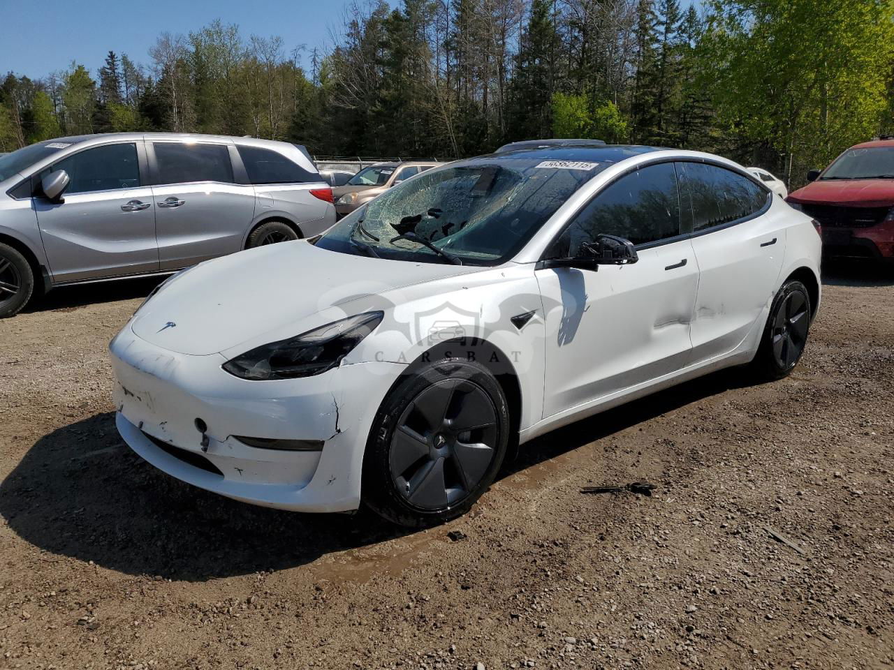Tesla Model 3 2023