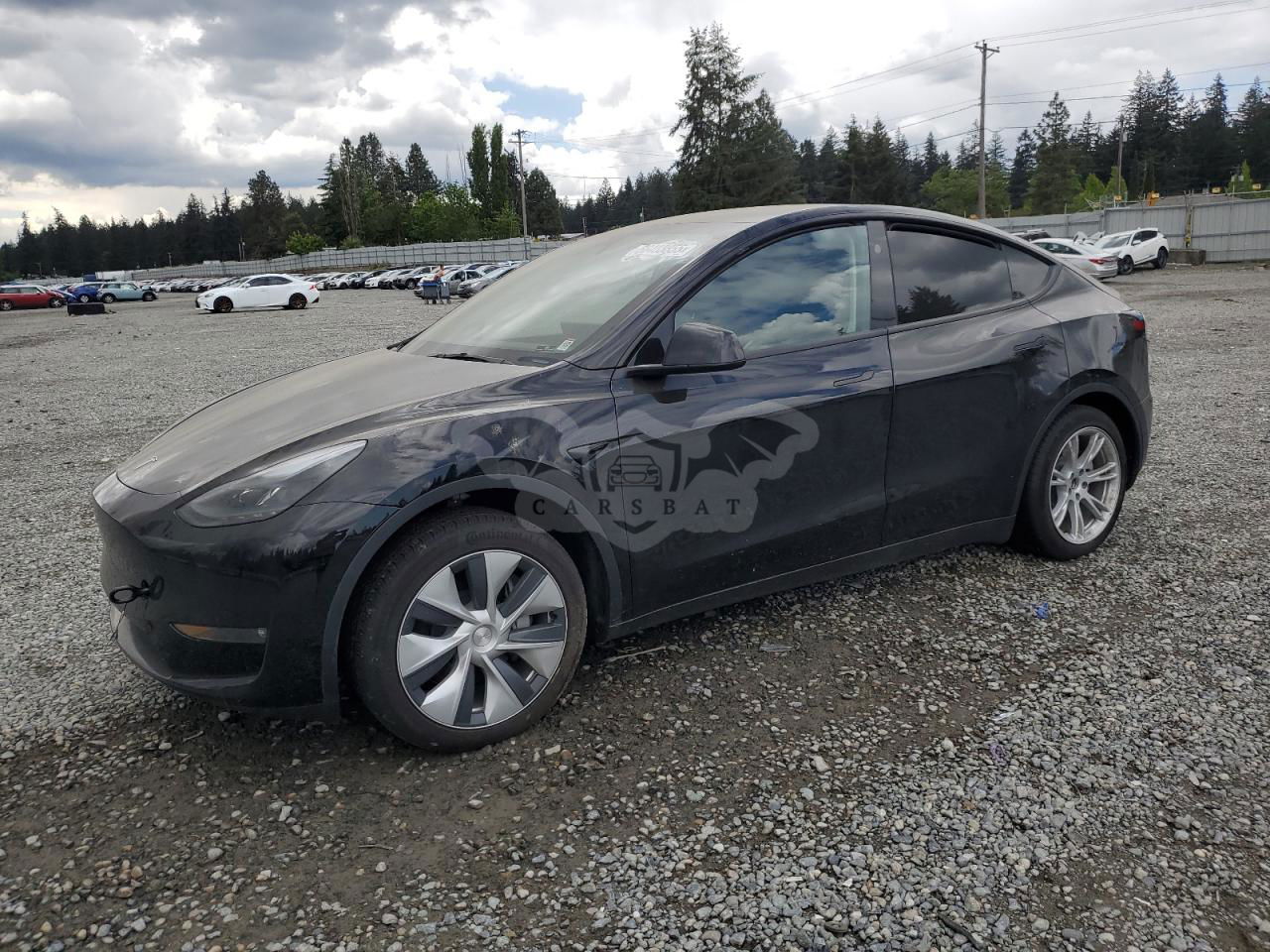 Tesla Model Y 2024