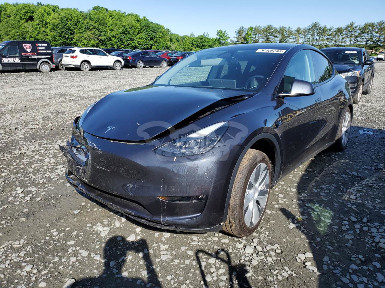Tesla Model Y 2024