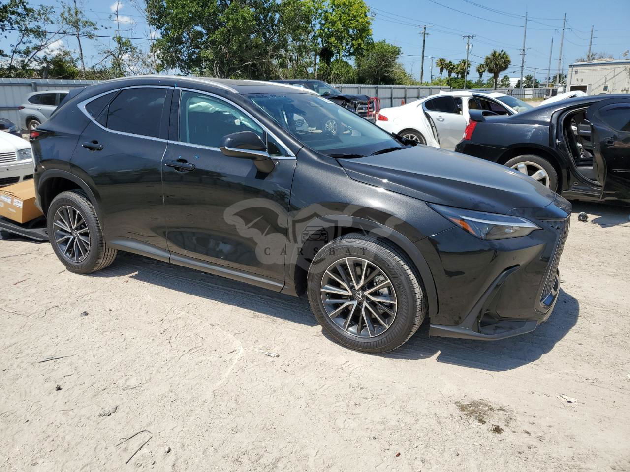 Lexus NX 2024
