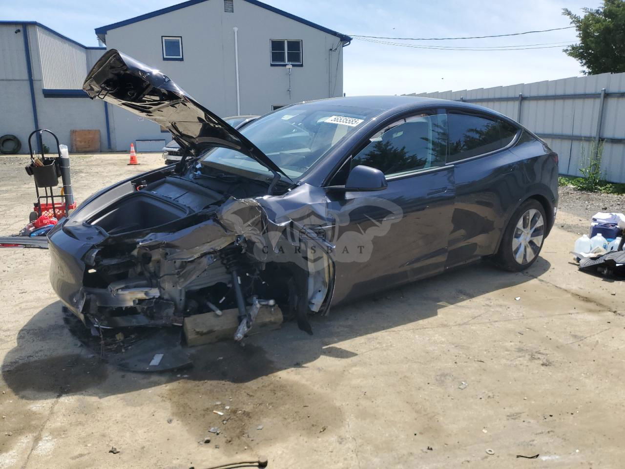 Tesla Model Y 2024