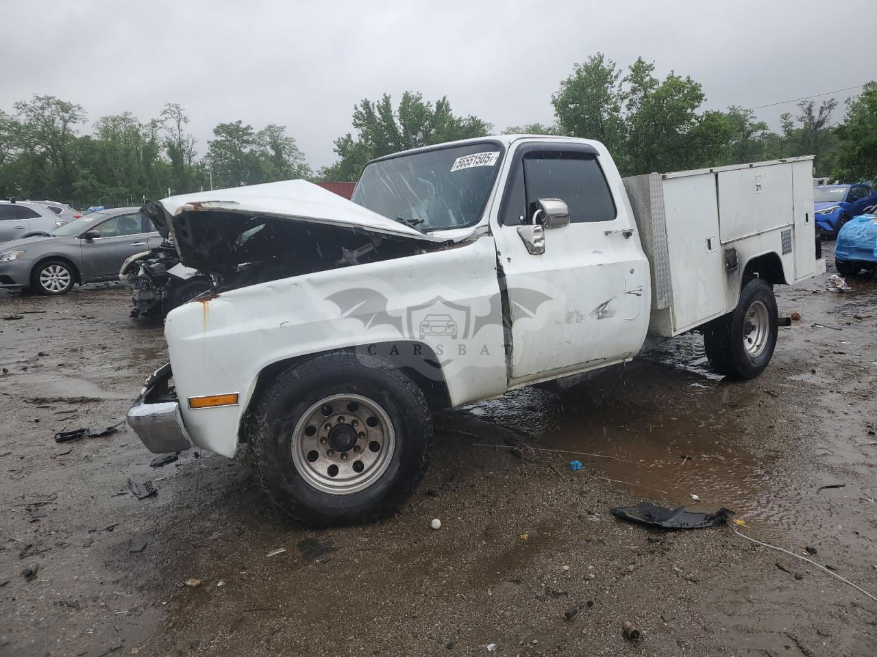 Chevrolet C/K Series 5.7L  8 1989