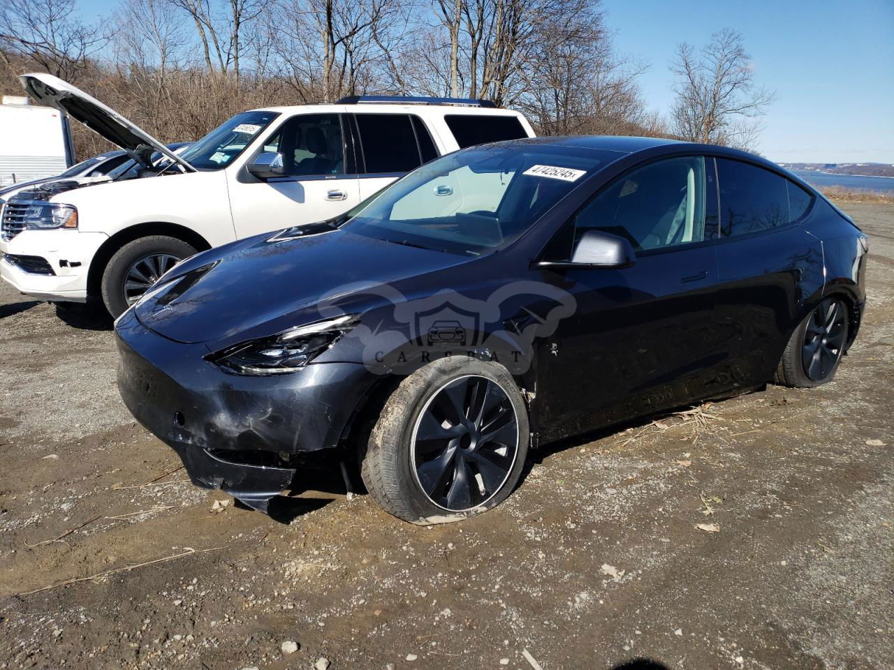 Tesla Model Y 2024