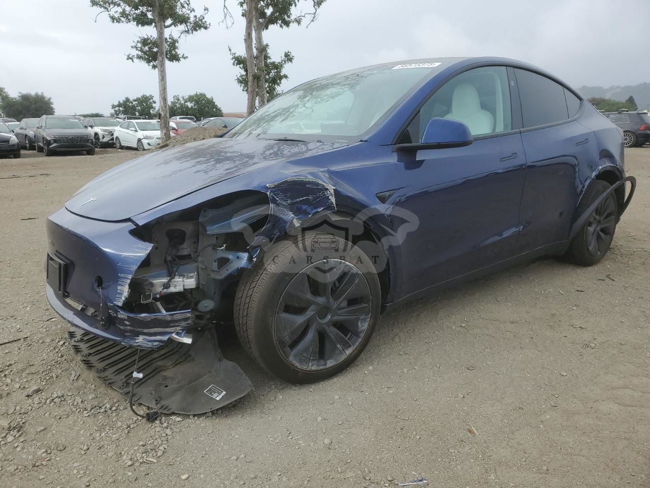 Tesla Model Y 2024