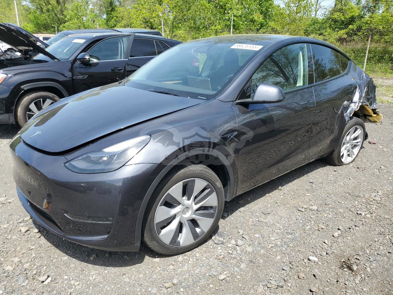 Tesla Model Y 2024